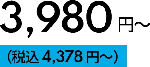 3,980円～ （税込 4,378 円～）