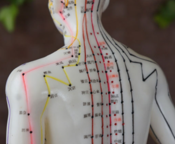 株式会社MOVE JAPAN（大阪はら整骨院グループ）様　／　整骨院